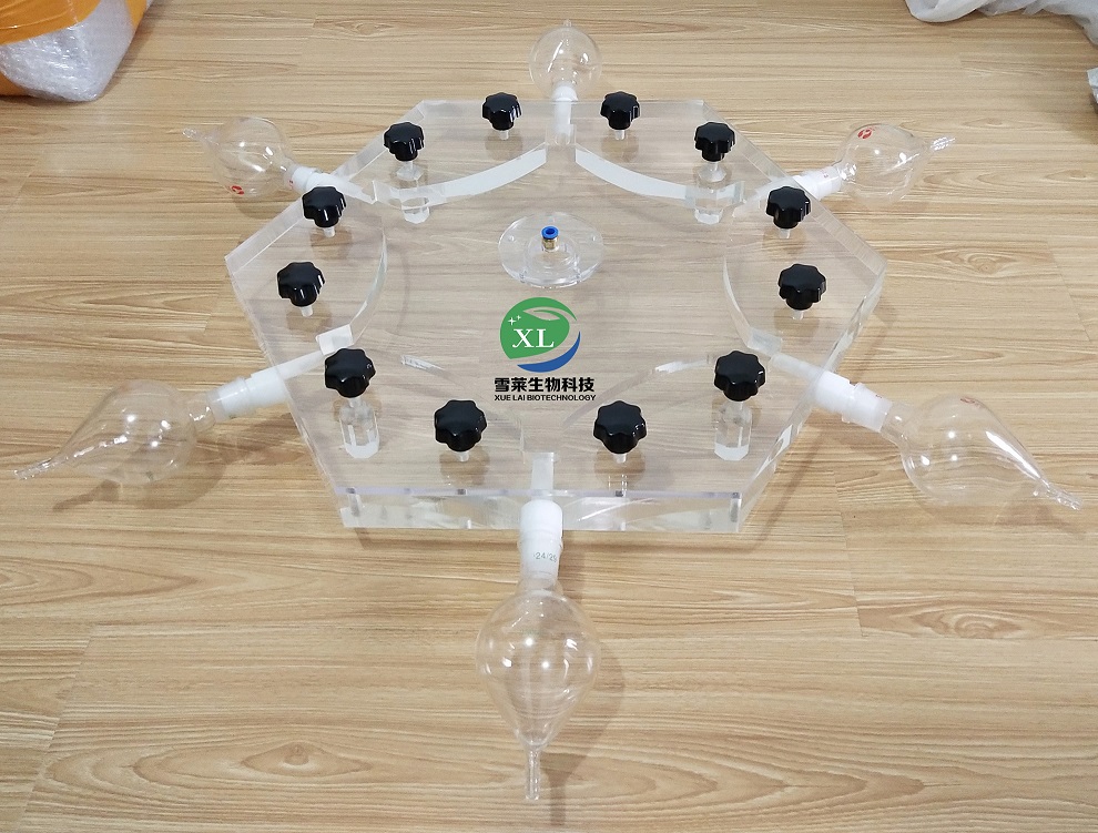 六臂昆虫嗅觉仪XLM6-150/昆虫嗅觉仪/厂家直销/南京雪莱