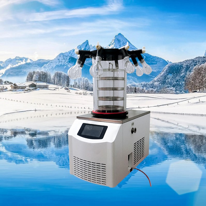 真空冷冻干燥机/冻干机/台式普通型液晶冷冻干燥机/南京雪莱