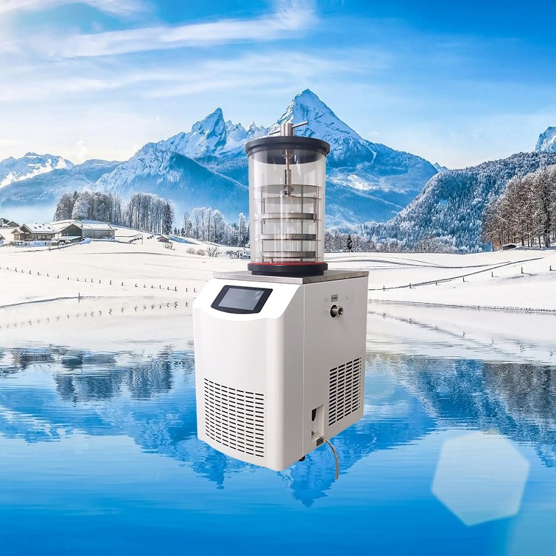 真空冷冻干燥机/冻干机/立式式普通型液晶冷冻干燥机/南京雪莱