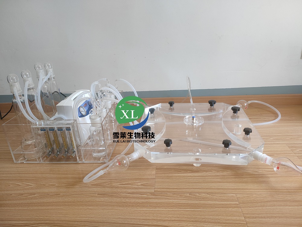 四臂昆虫嗅觉仪XLM4-30-300 四通道昆虫行为观察室 四壁嗅觉仪 南京雪莱厂家